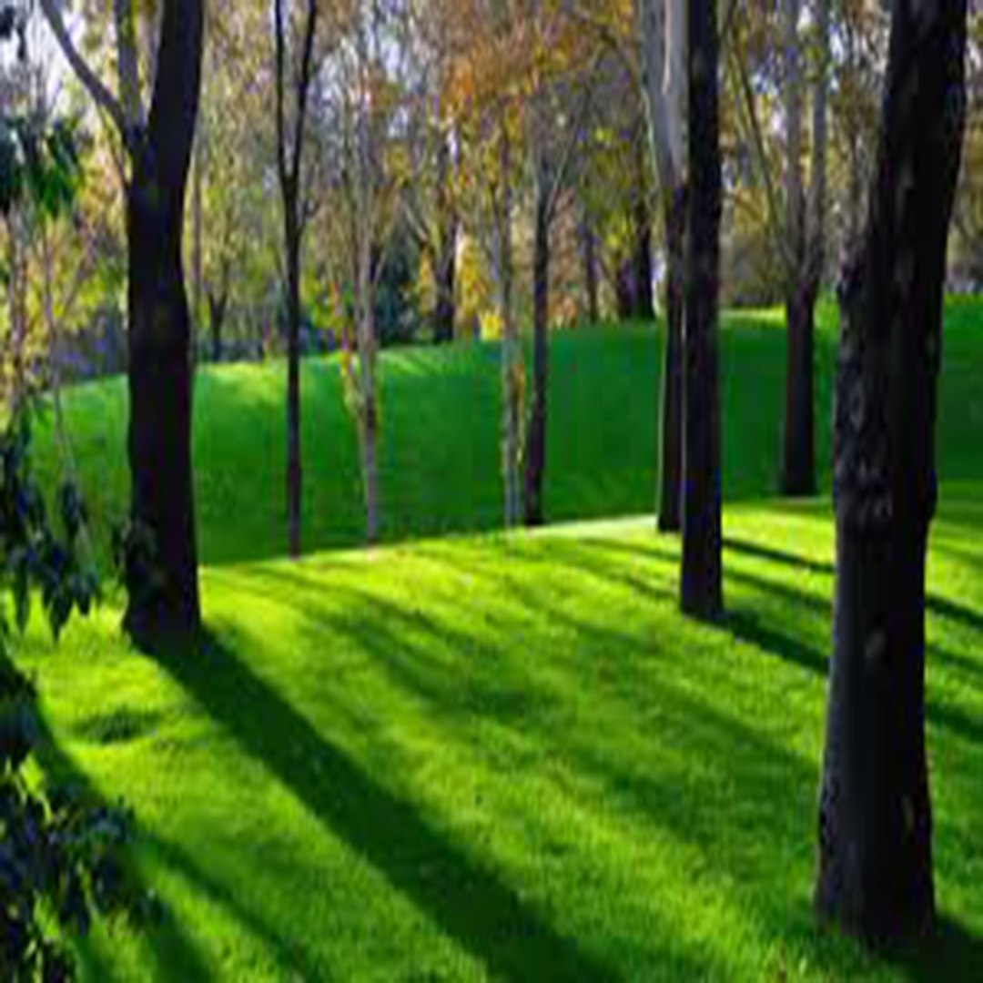 obj nature backdrop