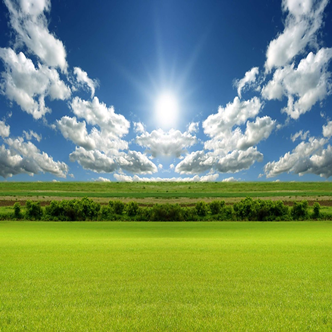 obj nature backdrop