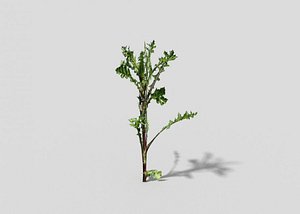 plant games 3d x