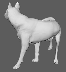wolf animal wildlife 3D model