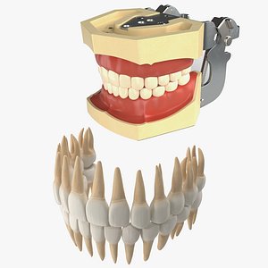 Dental Set 3D model