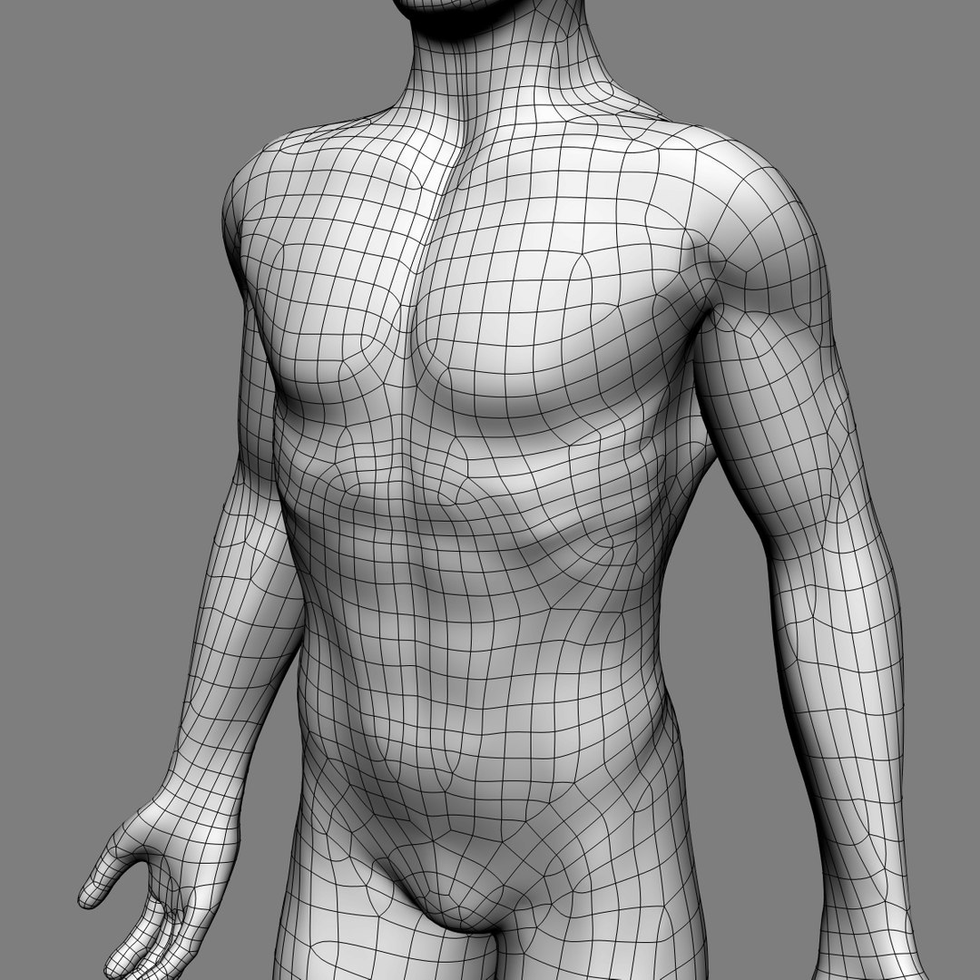 max human anatomy nervous brain https://p.turbosquid.com/ts-thumb/cD/oEuNIK/UqAZjajv/wire_g/jpg/1334131723/1920x1080/fit_q87/bbf294f24dc18422f289a4ec23dab596278068f8/wire_g.jpg