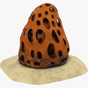 Coral V1