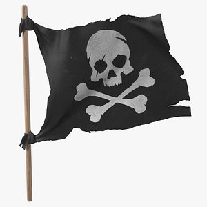 Pirate Skull and Bones Flag