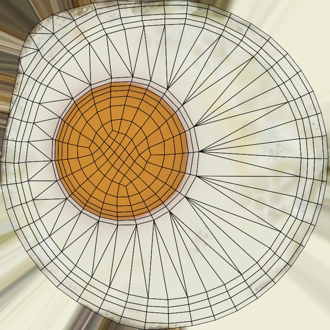 Fried Egg 3D model https://p.turbosquid.com/ts-thumb/cE/4x9bt5/4x/uv/png/1720085188/1920x1080/fit_q87/710b6bdcd565a2b939af307484b05a8e5238ceef/uv.jpg