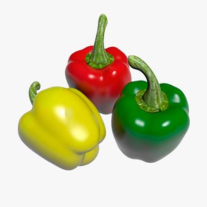 bell pepper 3D model