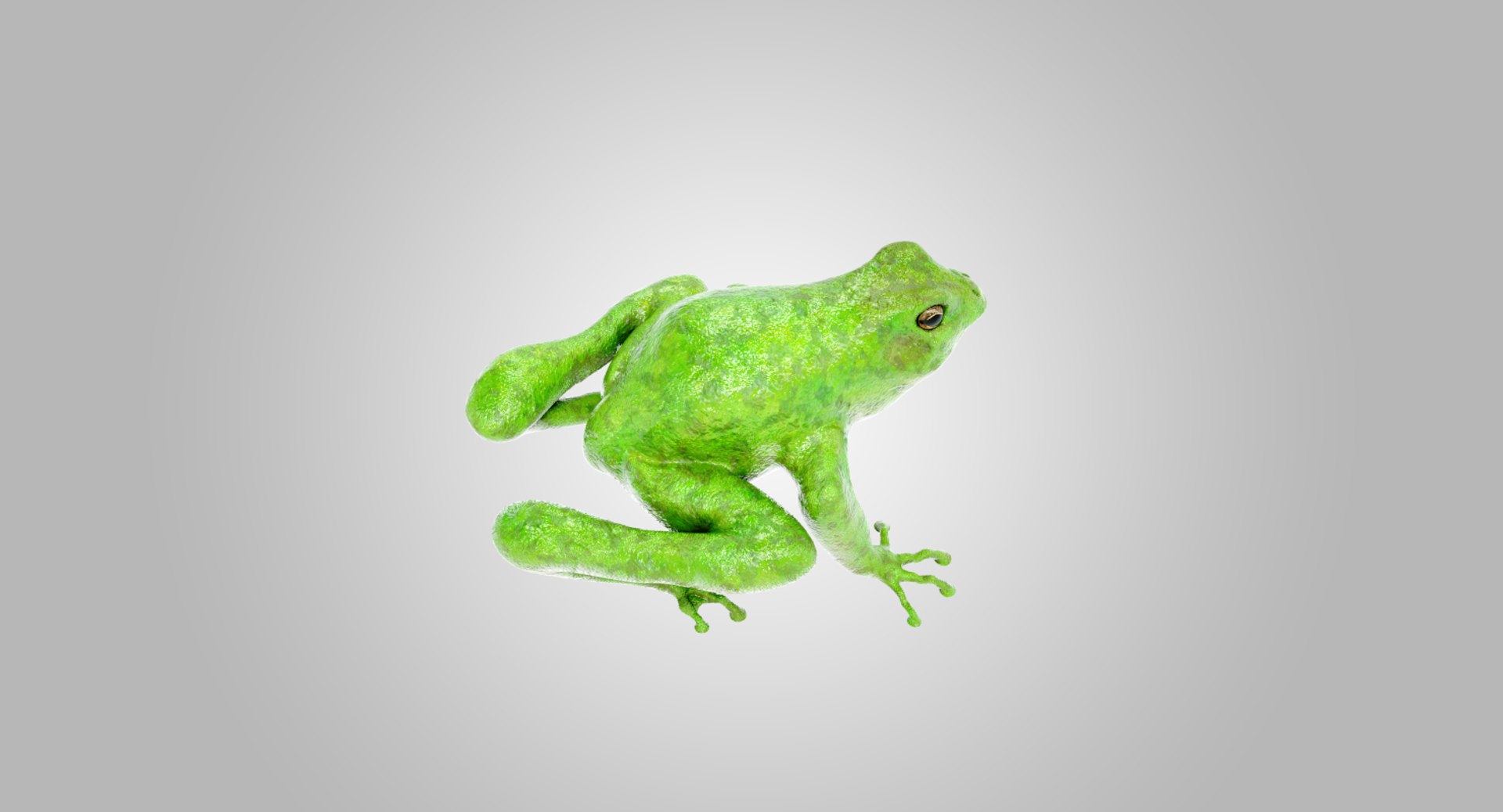 lightwave animation frog 3D model https://p.turbosquid.com/ts-thumb/cE/HCRMz4/JAYs3HeO/1/png/1564554205/1920x1080/fit_q87/c870a99cff756b6500d5270484c5fd533f7662fd/1.jpg