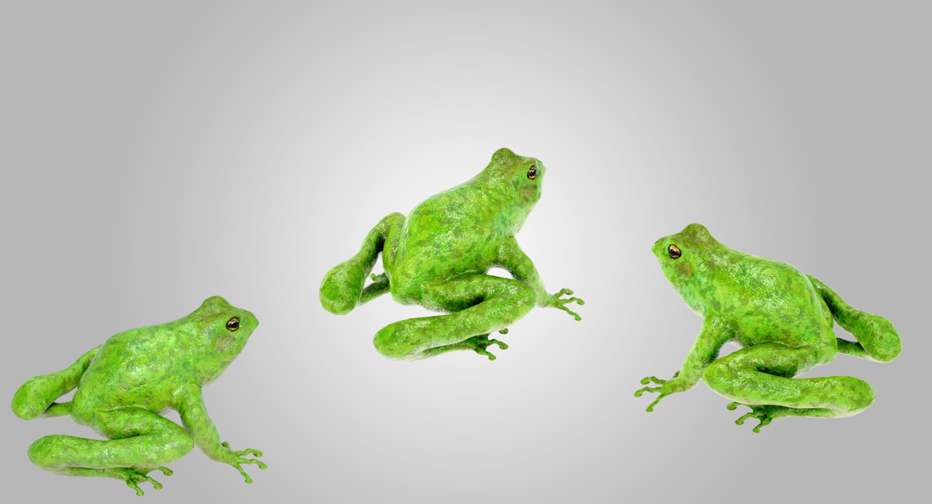 lightwave animation frog 3D model https://p.turbosquid.com/ts-thumb/cE/HCRMz4/LBZ27ocV/5/png/1564554261/1920x1080/fit_q87/167829b6df8a48ebb937dcd64c11e84b8c093704/5.jpg