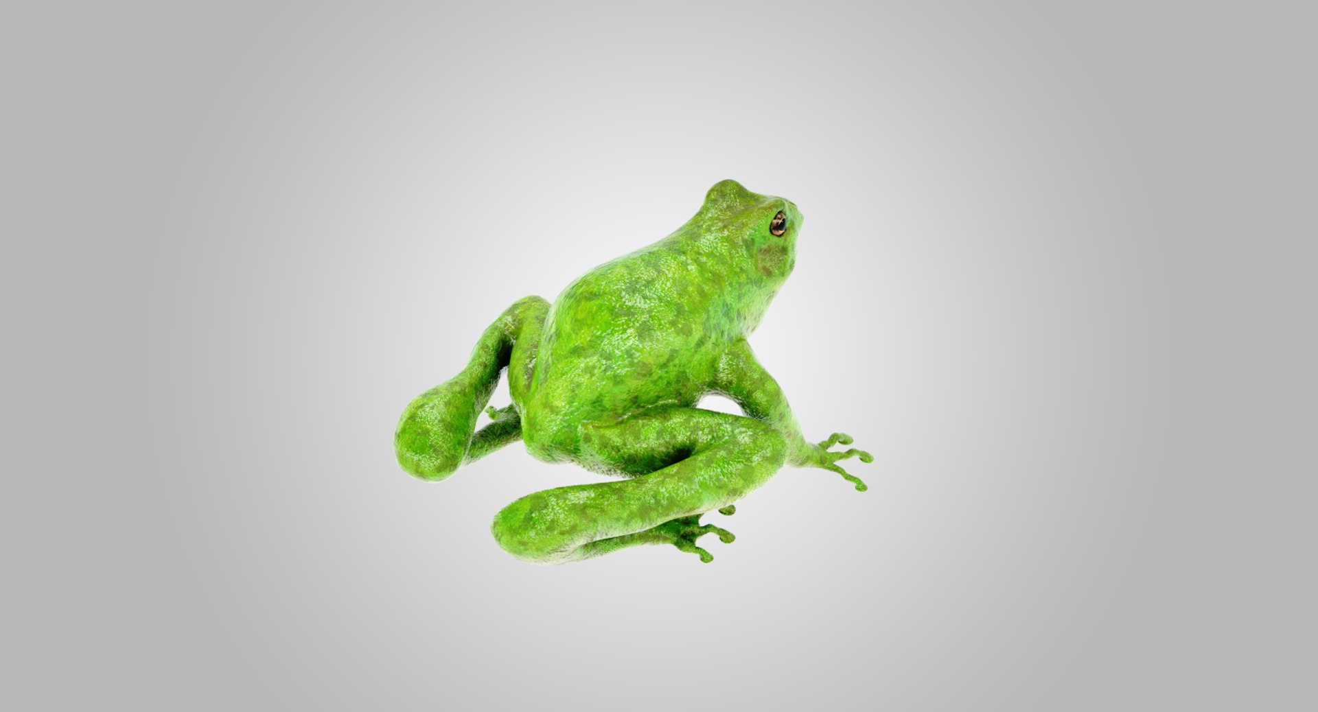 lightwave animation frog 3D model https://p.turbosquid.com/ts-thumb/cE/HCRMz4/Tqd7FTMR/3/png/1564554231/1920x1080/fit_q87/7b2227dd3dbe7a56ef7a131995db5d772623e180/3.jpg