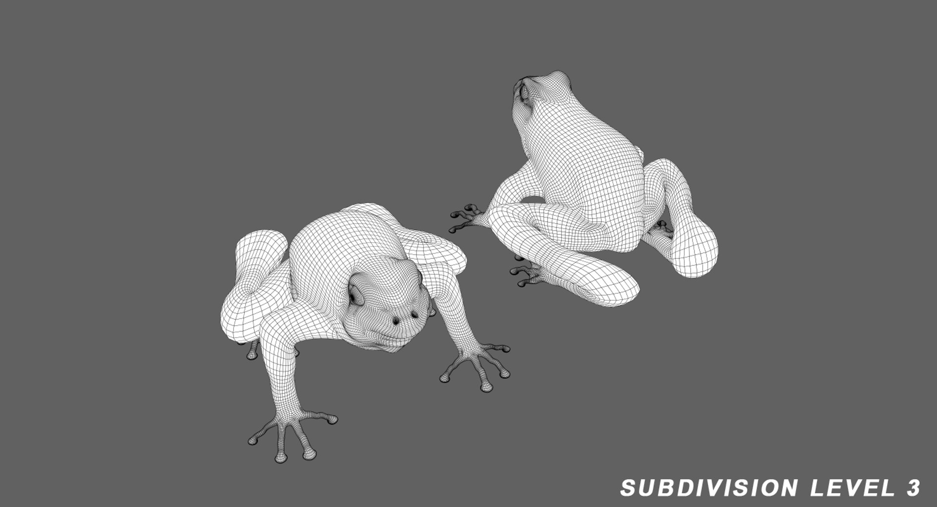 lightwave animation frog 3D model https://p.turbosquid.com/ts-thumb/cE/HCRMz4/cqZuORM5/sub3view1/png/1564554318/1920x1080/fit_q87/b39a84638aa8d03510232332d2f50987595e5283/sub3view1.jpg