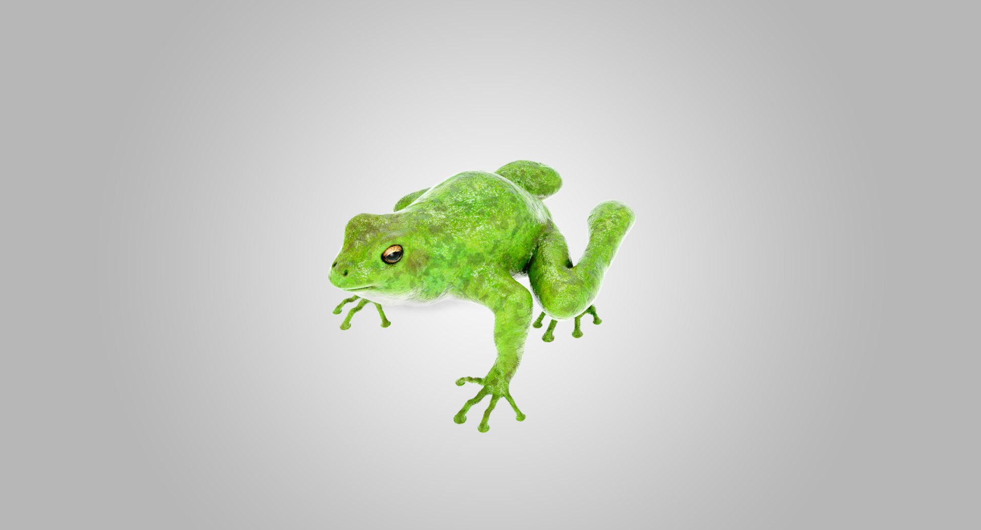 lightwave animation frog 3D model https://p.turbosquid.com/ts-thumb/cE/HCRMz4/kLVsGMKp/2/png/1564554217/1920x1080/fit_q87/62a0050167a9a5cff81fbfe456d92bc880bb1c4f/2.jpg