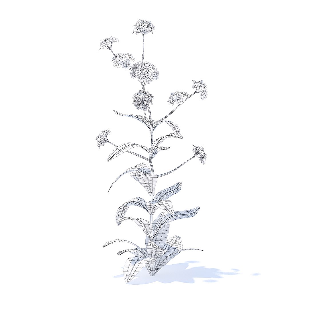 3D woodland forget-me-not https://p.turbosquid.com/ts-thumb/cE/Qme5I8/vl9ilN7j/cgaxis_models_91_51agrid/jpg/1511955132/1920x1080/fit_q87/fedd51a0f38730363d32ebceba83a9eeaa7db7c5/cgaxis_models_91_51agrid.jpg