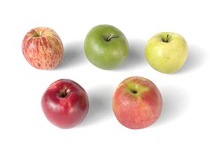 apple 3D model