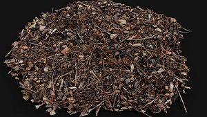 3D forest ground patch debris pt5 detail PBR photogrammetry model