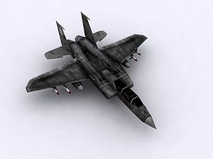 Tomcat