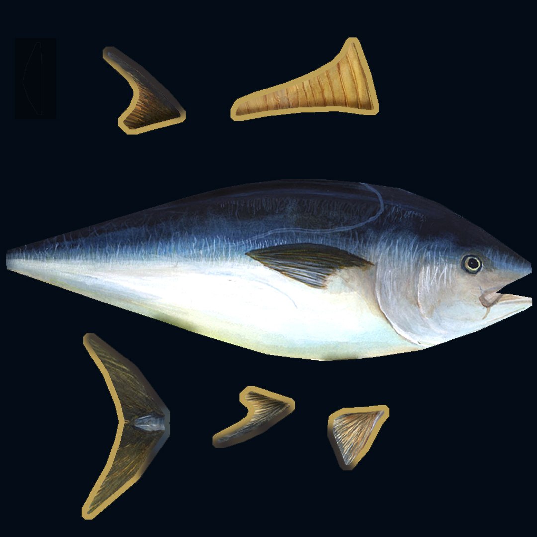 Free 3D Atlantic Bluefin - TurboSquid 1416066