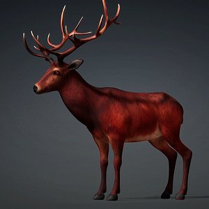 3D model Deer-E3