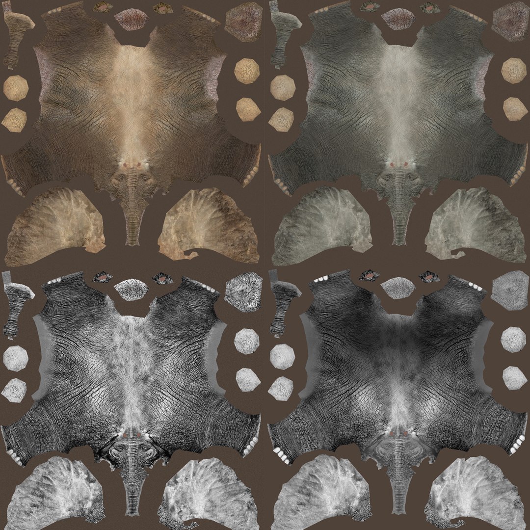 rigged african elephant 3d c4d https://p.turbosquid.com/ts-thumb/cF/0IbfzI/0is5fuQT/aetextures/jpg/1375027064/1920x1080/fit_q87/207b2f87d7f18e86a7404637027005efb6ea36b6/aetextures.jpg