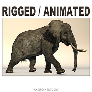 rigged african elephant 3d c4d