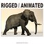 Elefante africano