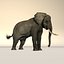 Elefante africano