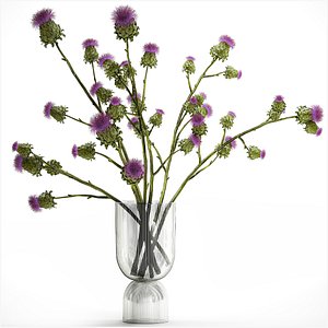 Beautiful green bouquet of Thistle thorn in a glass vase 295 3D