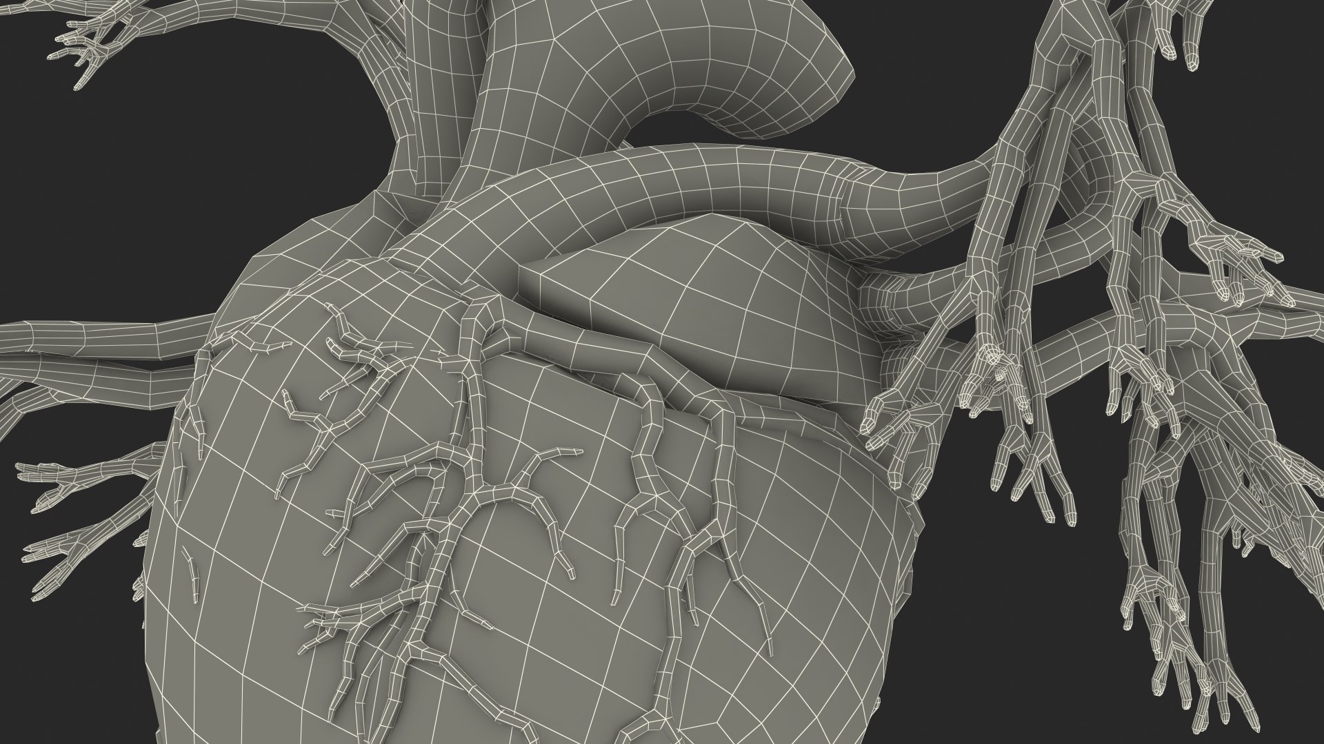 Womens Heart 3D model https://p.turbosquid.com/ts-thumb/cF/3RSf2q/46/female_heart_027/jpg/1776448708/1920x1080/fit_q87/29aa9f7c9d28c0f4c2ca240f4e1b0ac9b98bcf6e/female_heart_027.jpg