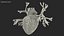Womens Heart