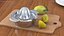Citrus Juicer