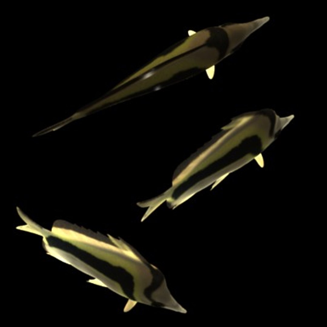 3d model fish aquarium https://p.turbosquid.com/ts-thumb/cF/8AoFVb/2anyAt3a/fish4c/jpg/1202947379/1920x1080/fit_q87/55398c869fd8a8e0ddaa0816056afc8ef59580f4/fish4c.jpg