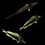 fish4