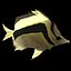 fish4