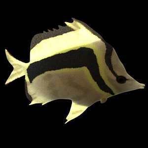 fish4