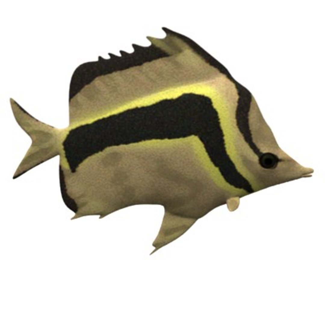 3d model fish aquarium https://p.turbosquid.com/ts-thumb/cF/8AoFVb/K1dal0yi/fish4b/jpg/1202947373/1920x1080/fit_q87/291e0006df3ee4c40dfa36ad2c2ca625e02349fb/fish4b.jpg
