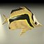fish4