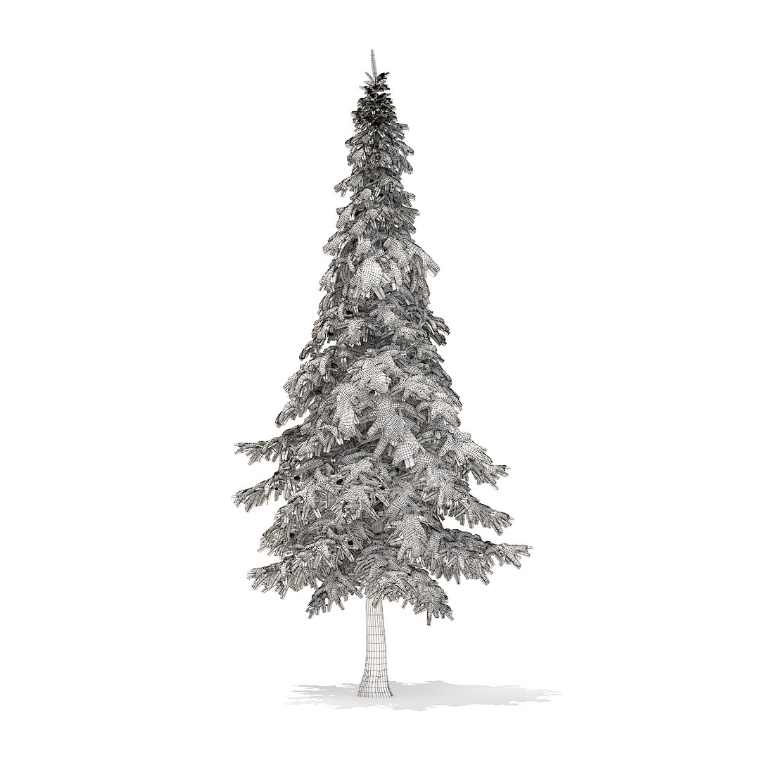 Fir Tree Snow 7m 3D - TurboSquid 1273697