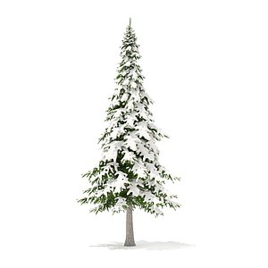 fir tree snow 7m 3D