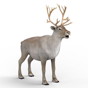 reindeer materials pbr 3D model