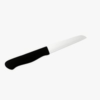 Kitchen Knife