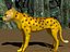 Wild Animal