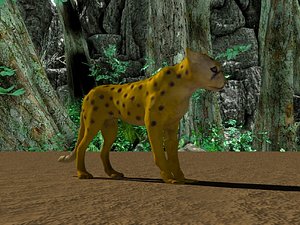 Wild Animal