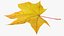 3D Maple Leaf V2