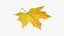 3D Maple Leaf V2