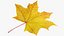 3D Maple Leaf V2