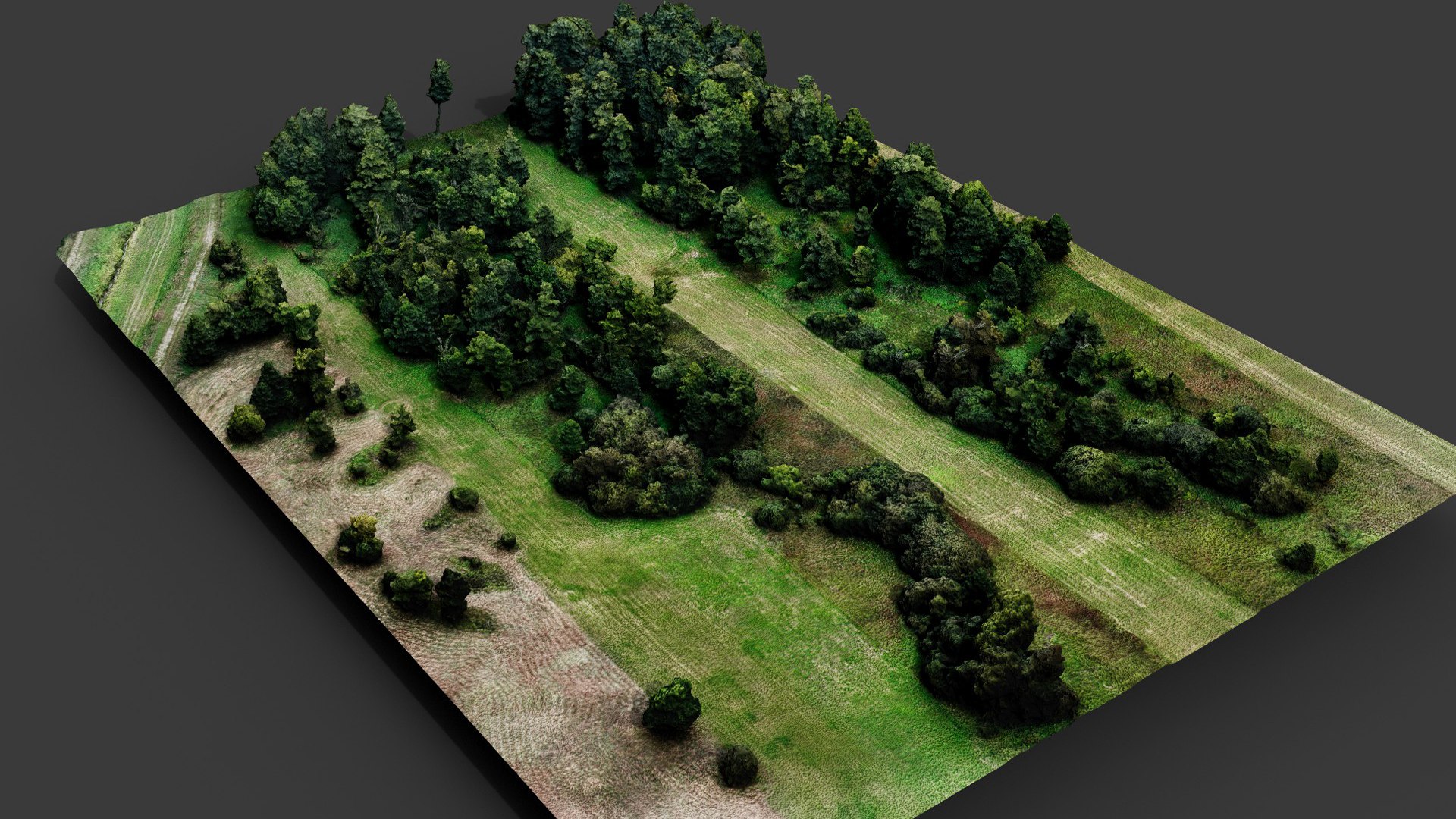 Trees Terrain Forest Fields Landscape Dronescan Part1 Model ...
