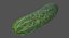 realistic cucumbers model