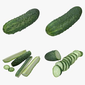 realistic cucumbers model