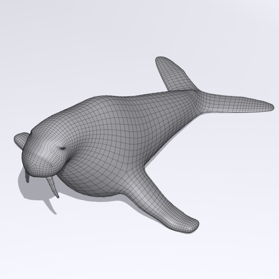 3D Model Walrus - TurboSquid 1217907
