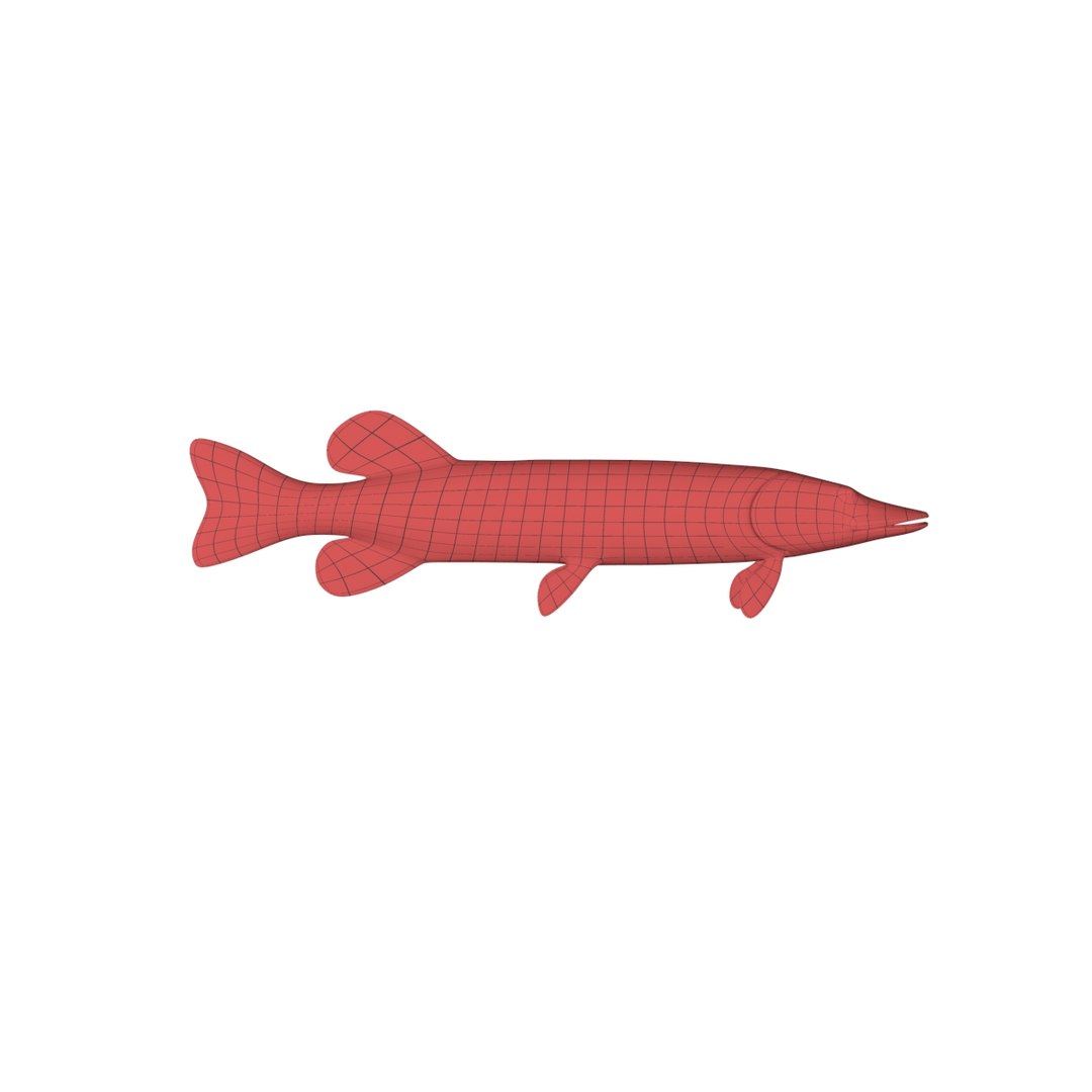 base mesh pike c4d