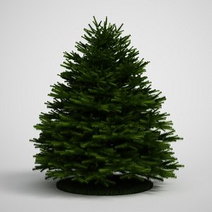 3ds max tree evergreen fir